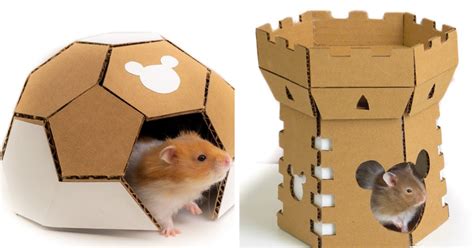Easy Cardboard Hamster House Vlrengbr