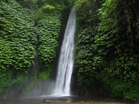 The Best Waterfall In Bali ~ Bali Island Information Center