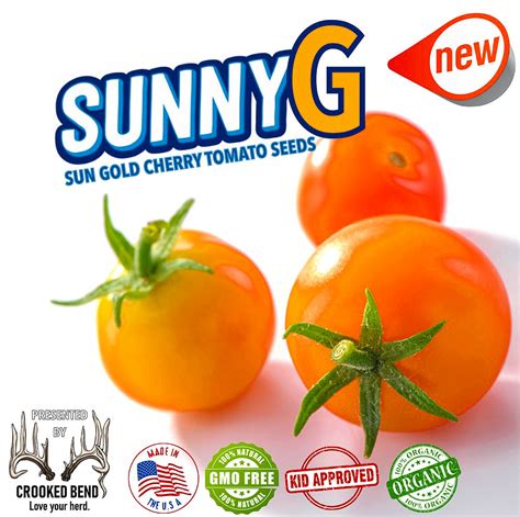 Sunny G Sungold Cherry Tomato Photos Crooked Bend