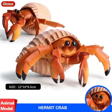 Oenux Sea Life Animals Hermit Crab Soldier Crab Model Simulation Ocean