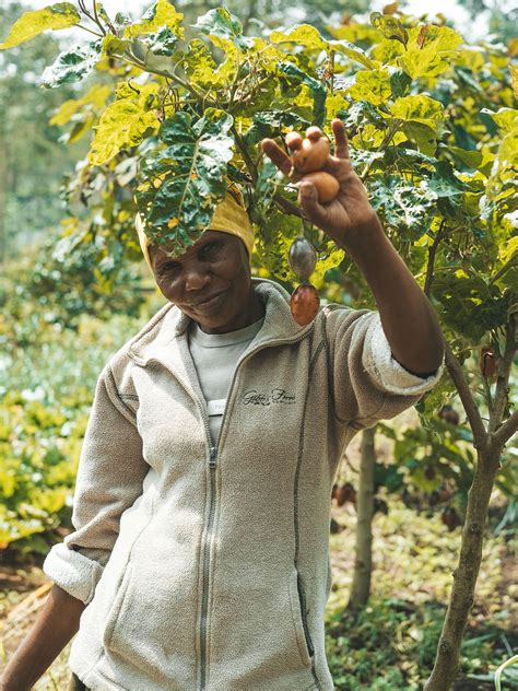 Grow your own - Gibb's Farm | A Sanctuary for the Senses