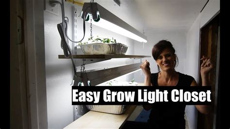 You'll get the best results with an indoor grow light. How To Build an Easy DIY Indoor Grow Light Closet for ...