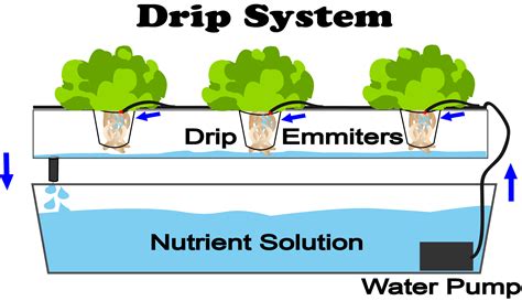 What Is Drip Hydroponics Nosoilsolutions