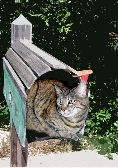 Cats Cat In Mailboxpsd