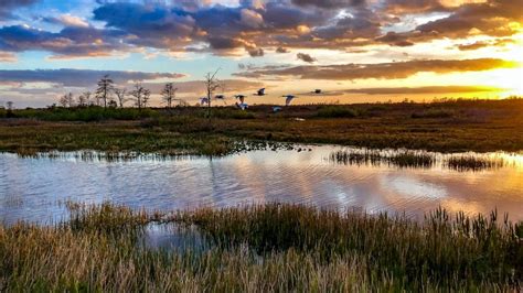 The Ultimate Everglades National Park Travel Guide Outside Online In