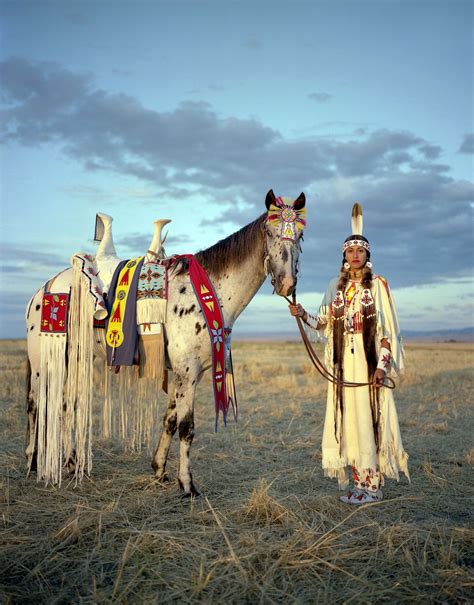 Erika Larsen In Search Of A Horse Native American Horses Native