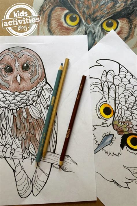 They are 9 fall animals with fall elements such as leaves, acorns, etc. Realistic Owl Coloring Pages | FaveCrafts.com