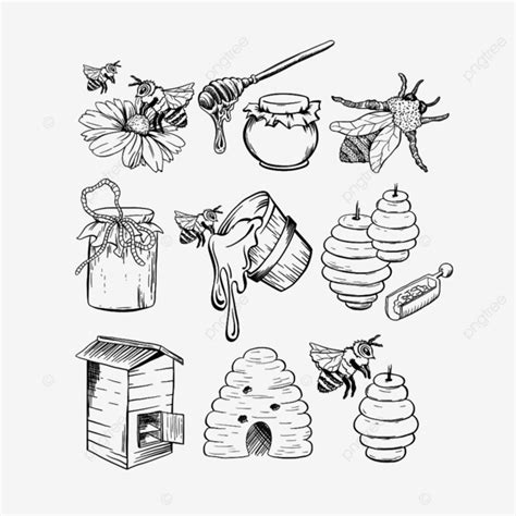 Honey Sketches Set Bee Sketch Bee Drawing Honey Drawing Honey Sketch Png And Vector With