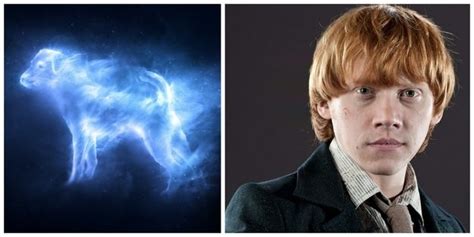 10 Harry Potter Characters And Their Patronus