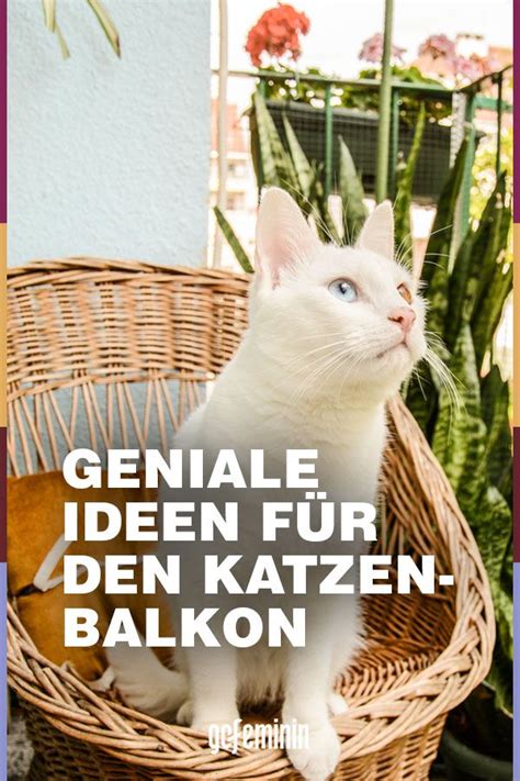 Machen sie ihren balkon katzensicher. Balkon katzensicher machen: Die besten Tipps | Balkon ...