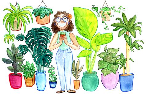 The benefit of indoor plants comes into the picture through a process called evapotranspiration, which increases humidity in the air. Houseplants offer a variety of mental and physical health ...