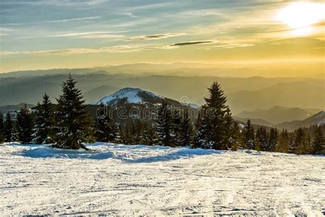 Awesome Mountain Winter Snowy Landscape With Trees And Peaks Stock