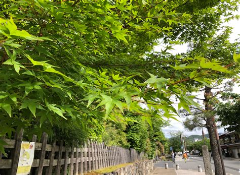Maybe you would like to learn more about one of these? 緊急事態宣言の解除 | ざ・京都