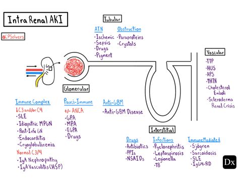 Here Are Excerpts From The Medscape Article Emergent Management Of