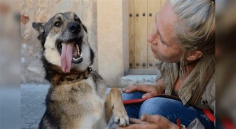 Rescatan a perro que era abusado sexualmente por su dueño España zoofilia maltrato animal