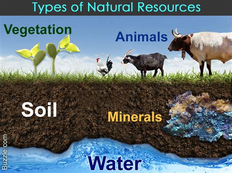 The Different Types Of Natural Resources You Ought To Know