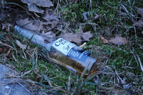 Fiamme negli occhi, il nuovo brano di coma_cose in gara al festival di sanremo 2021, è disponibile ovunque. coma cose on Tumblr