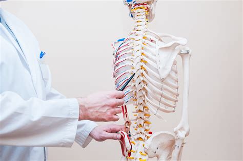 What Is A Spinal Adjustment What To Expect From Your Chiropractor