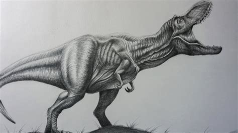 Jurassic Park T Rex Drawing At Explore Collection