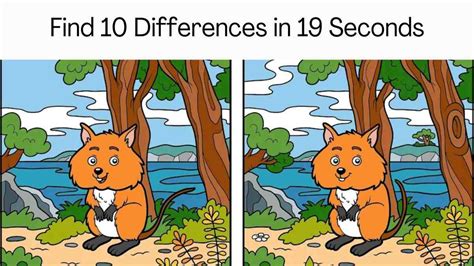 Spot The Difference Can You Spot All 10 Differences In 19 Seconds