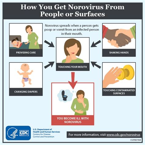 disease outbreak control division norovirus