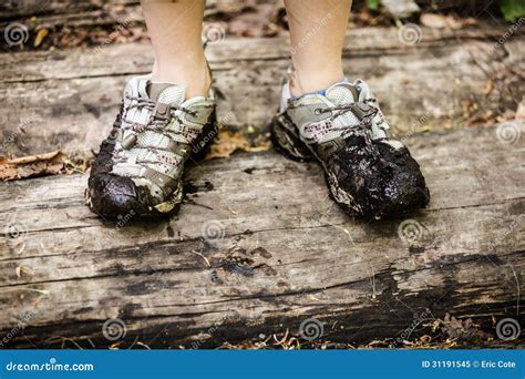 Dirty Shoes Stock Image Image Of Brown Wood Outside 31191545