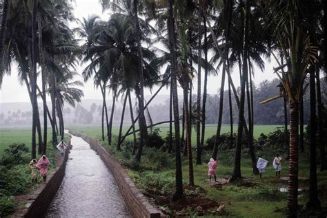 Goa In The Monsoon Season Essential Travel Guide