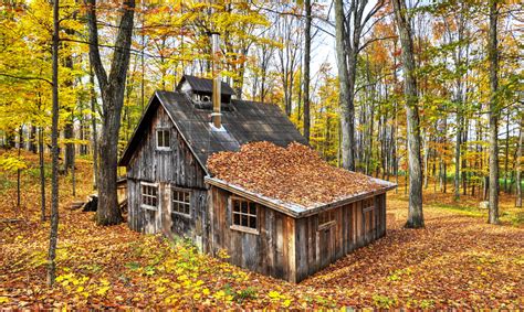 Sugar Shack In Autumn Hdr Creme