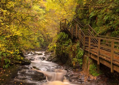 There was a stall by the entrance where you could buy drinks and packed food. Glenariff Forest Park Waterfalls Autumn 2012 | Deirdre ...