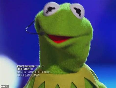 The Masked Singer Kermit The Frog Reveals Identity On Season Five