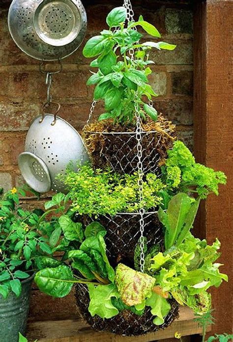Hanging baskets tend to dry out more quickly than other types of container and water can easily be wasted from them. 20+ Cool Vertical Gardening Ideas - Hative