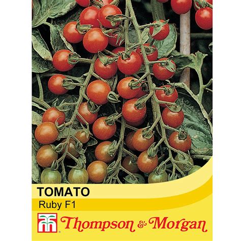 Tomato Ruby F1 Seeds Thompson And Morgan