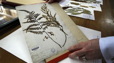 Study Reveals Plant Extinctions And New Discoveries Environment Al