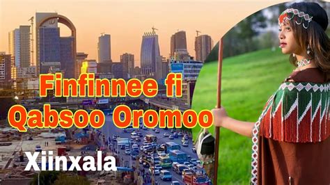 Qaama Finfinnee Fi Qabsoo Oromoo Youtube