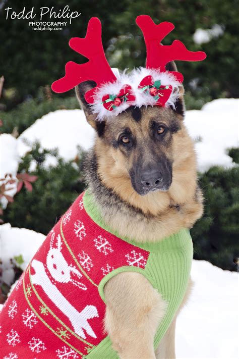 Holiday German Shepherd Christmas Snow Dog Sweater Reindeer