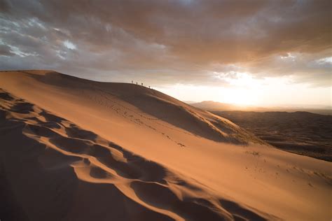 Arabian Desert Pictures Download Free Images On Unsplash