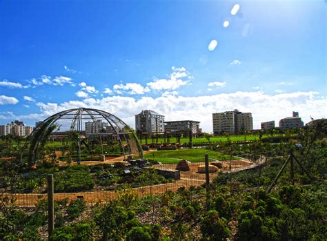 The Green Point Urban Park Cape Town South Africa