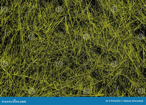 Dry Straw Hay Straw Yellow Background Hay Straw Texture Stock