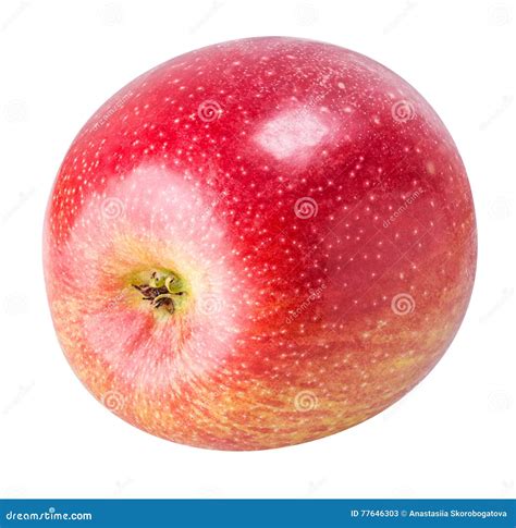 One Red Apple Isolated On White Background Stock Image Image Of Fresh