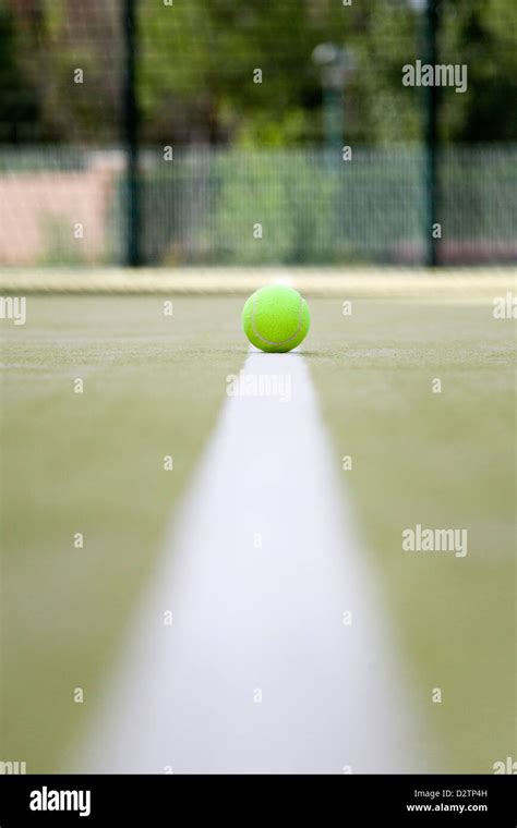 Yellow Tennis Ball On The White Line Stock Photo Alamy