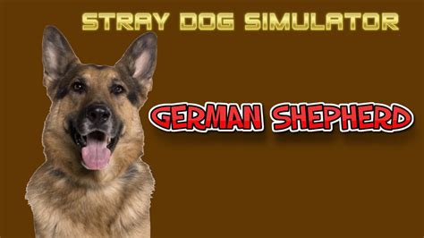 German Shepherd Roblox Game Do U Get Robux From Builders Club