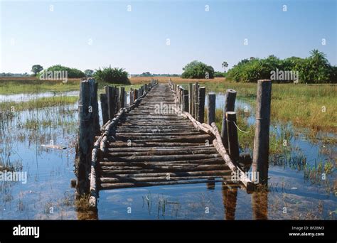 Wooden Bridge Over Swamp Hi Res Stock Photography And Images Alamy