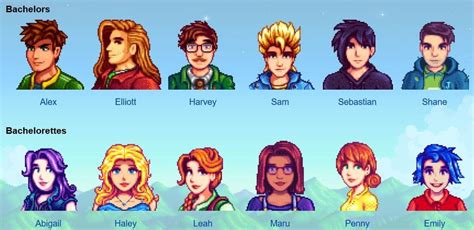 Stardew Valley Meet The Eligible Bachelors And Bachelorettes Mae Polzine In 2022 Stardew