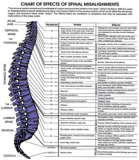 I want to give chisom from the back! neck pain | Lwchiropractic's Blog