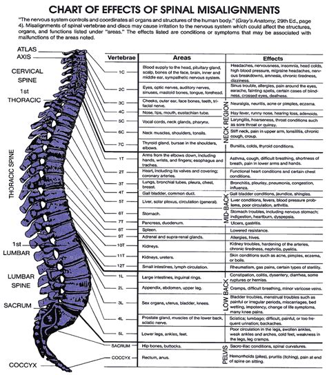 How do you figure out square feet? neck pain | Lwchiropractic's Blog