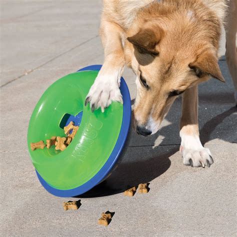 Dog Enrichment Toy Kong Tiltz Food Treat Dispensing Dog Toy Rspca Vic
