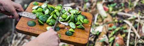 Organic methods are healthier, better for the environment and wildlife, and are less expensive because there are no chemical fertilizers parts. How To Make Organic Compost | Love The Garden