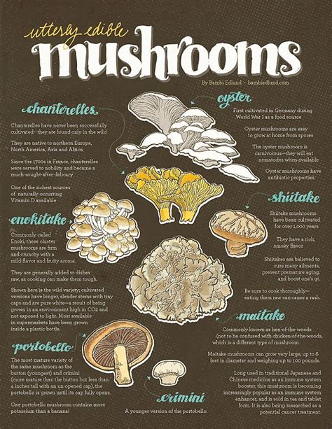 55 Best Images About Mushroom Charts On Pinterest French Illustration