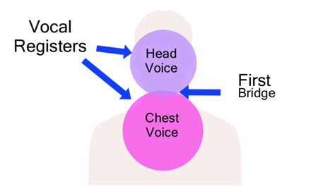 10 Singing Techniques To Improve Your Voice Ramsey Voice Studio