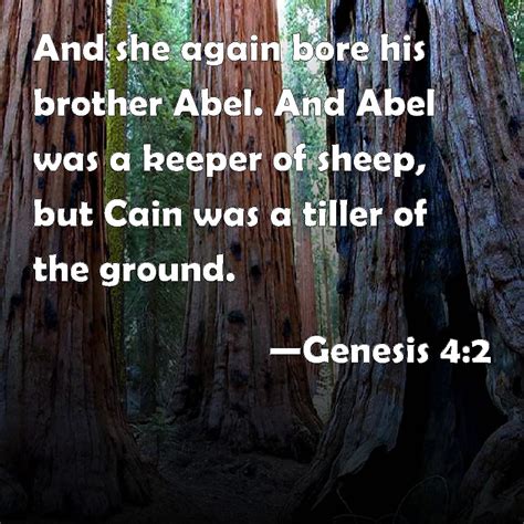 Genesis 42 And She Again Bore His Brother Abel And Abel Was A Keeper